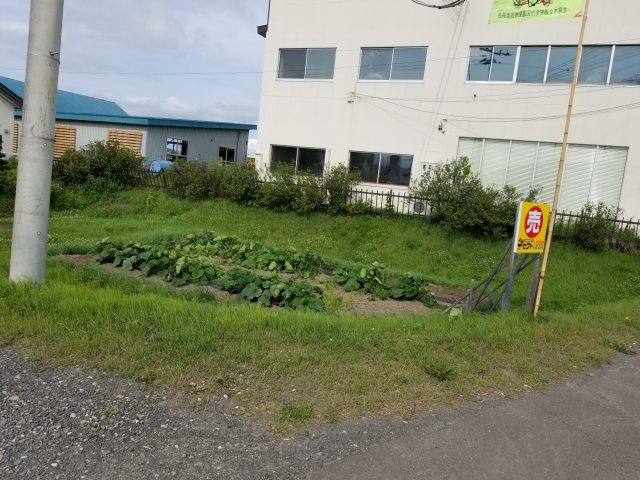【売出開始のお知らせ】西三輪4丁目723番　土地　100万円が再度売出しになりました。