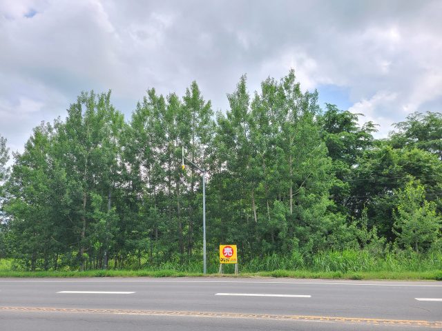 【売出開始のお知らせ】豊田864番　土地　100万円が再度売出しになりました。