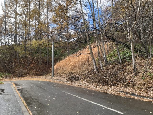 【新着物件のお知らせ】美山町東3丁目70番 土地　70万円が売出しになりました